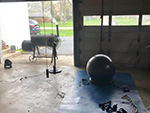 original_gym_small